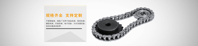 不锈钢链条